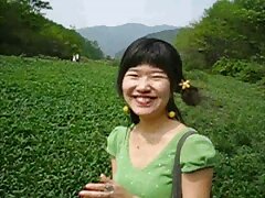 ສັດເດຍລະສານຜົມຍາວຂີ່ pussy ທີ່ຮັກຂອງນາງ